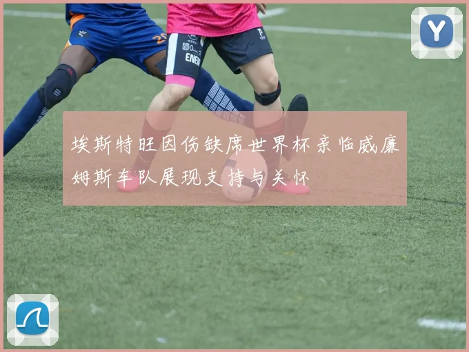 埃斯特旺因伤缺席世界杯亲临威廉姆斯车队展现支持与关怀