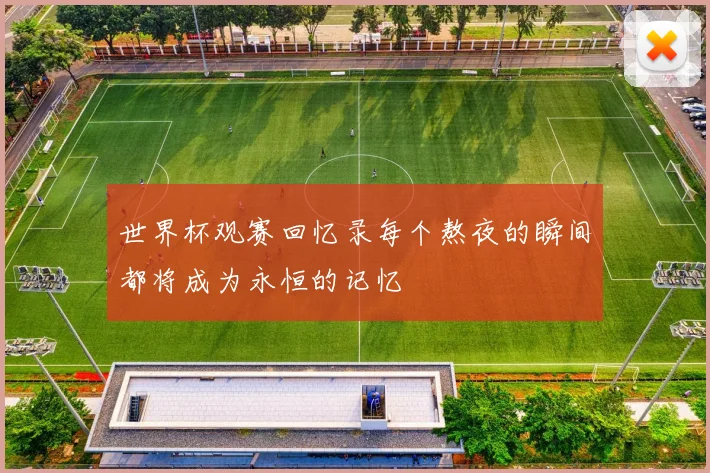 世界杯观赛回忆录每个熬夜的瞬间都将成为永恒的记忆