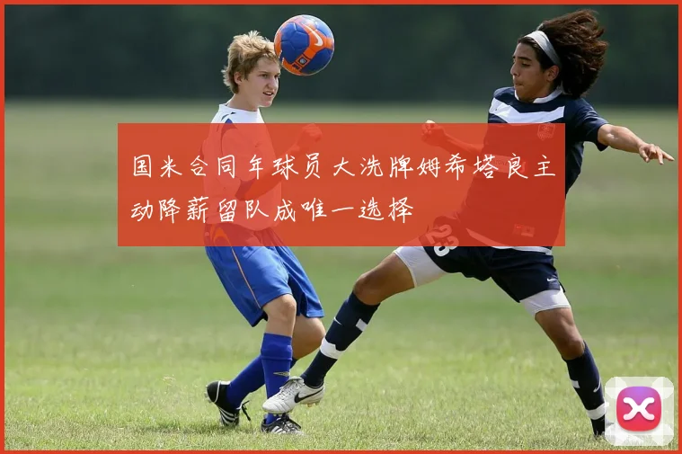 国米合同年球员大洗牌姆希塔良主动降薪留队成唯一选择