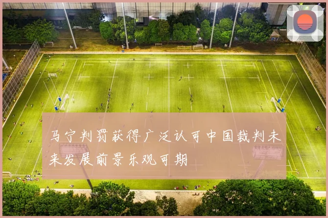 马宁判罚获得广泛认可中国裁判未来发展前景乐观可期