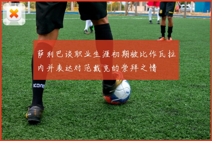 萨利巴谈职业生涯初期被比作瓦拉内并表达对范戴克的崇拜之情