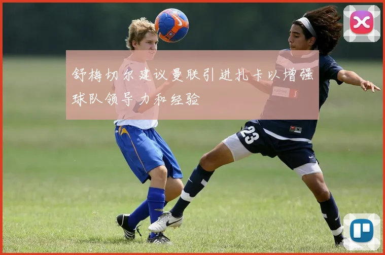 舒梅切尔建议曼联引进扎卡以增强球队领导力和经验
